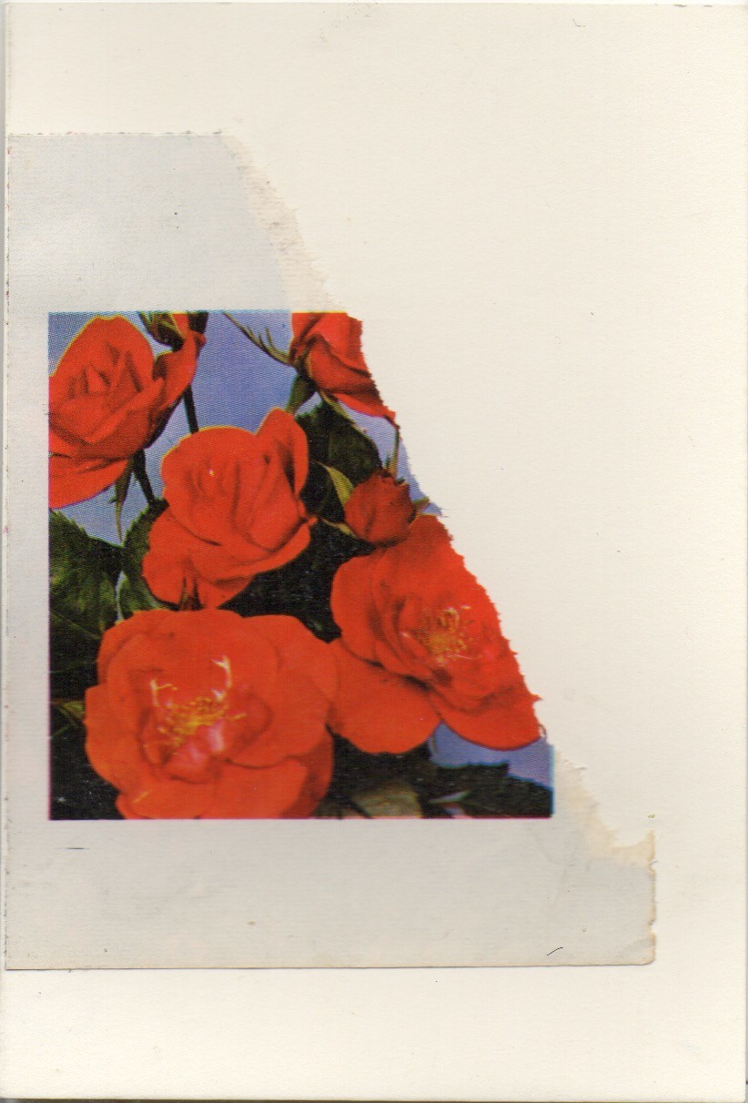 carte 1 carte 1