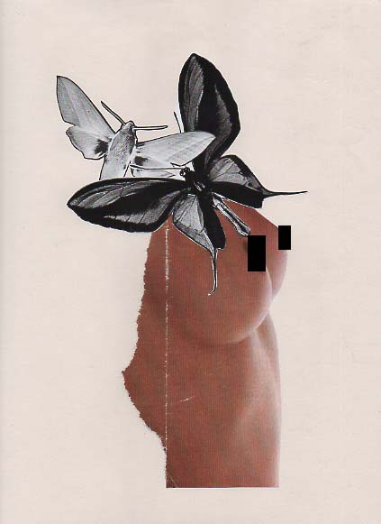 papillons - copie copie papillons - copie copie