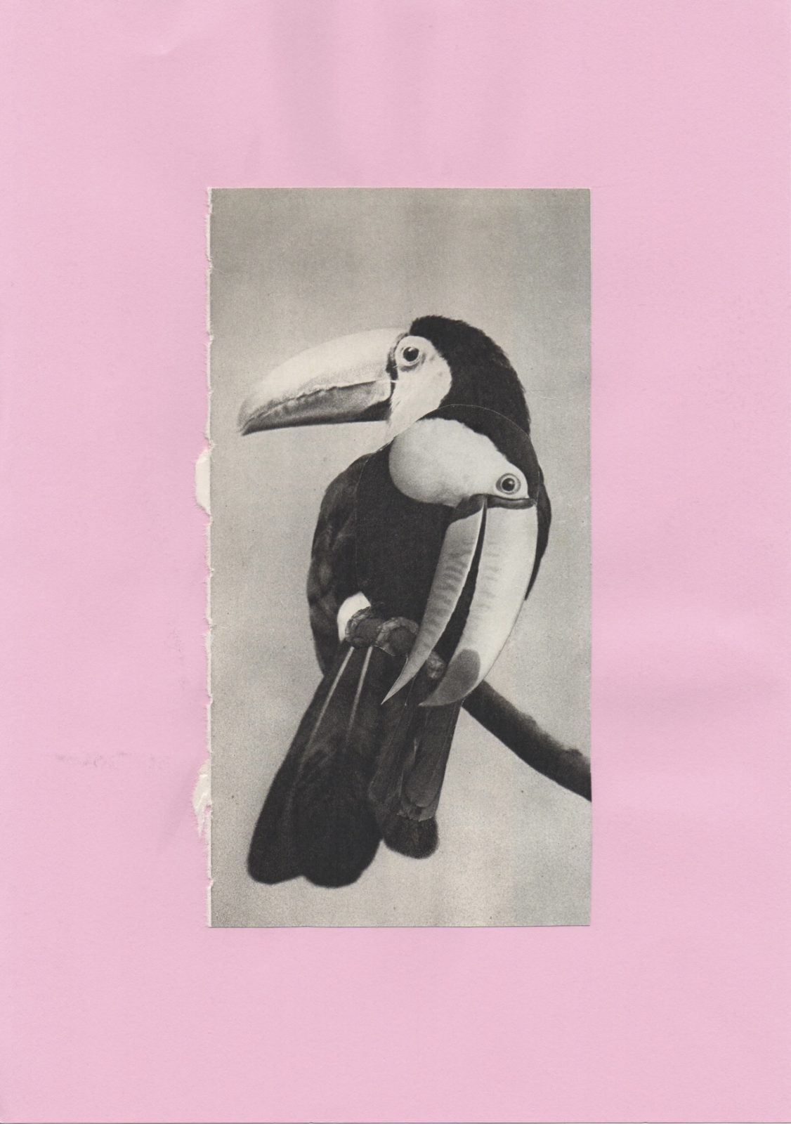collage volatile 2 - copie collage volatile 2 - copie