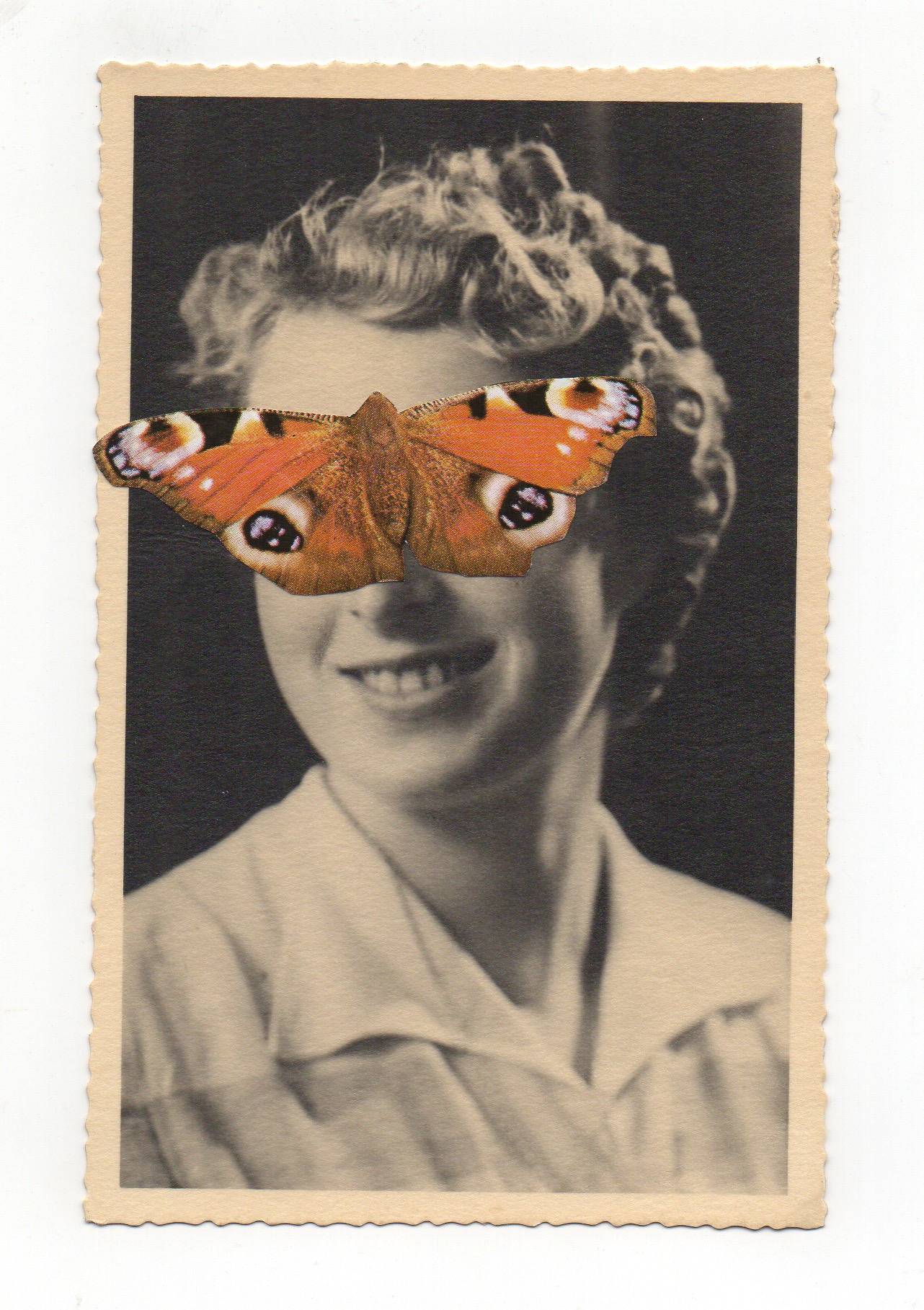 jour 1 - papillon